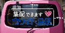 【リアガラス用】ルート車カッティングシート「集配できます ロゴ 一体型 」