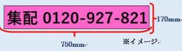 【車体側面用】ルート車カッティングシート ピンクベース + 「電話番号」2枚セット